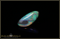 Preview: Lightning Ridge Black Opal - 2,05ct